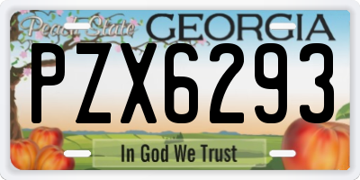 GA license plate PZX6293