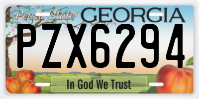 GA license plate PZX6294