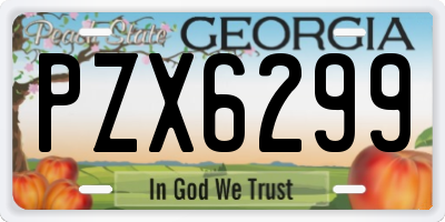 GA license plate PZX6299