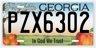 GA license plate PZX6302