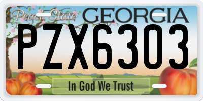 GA license plate PZX6303