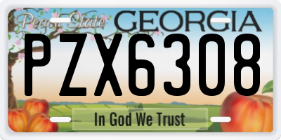 GA license plate PZX6308