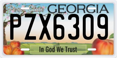 GA license plate PZX6309