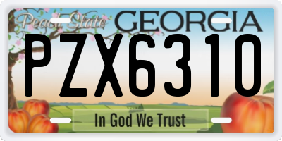 GA license plate PZX6310