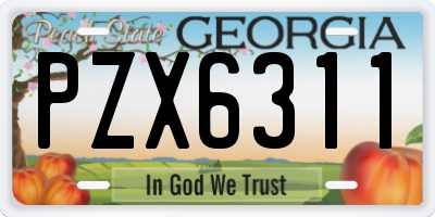 GA license plate PZX6311
