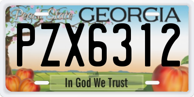 GA license plate PZX6312