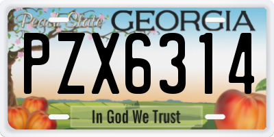 GA license plate PZX6314
