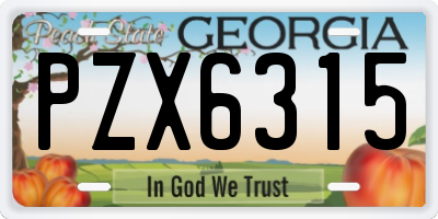 GA license plate PZX6315