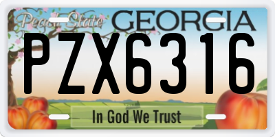 GA license plate PZX6316