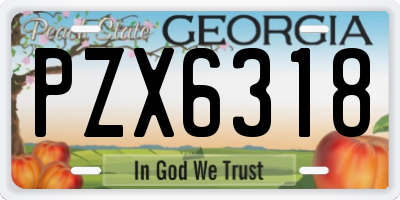 GA license plate PZX6318