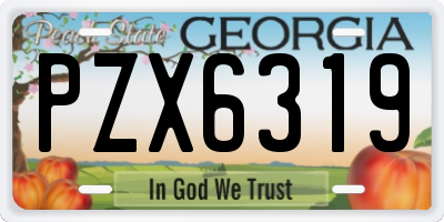 GA license plate PZX6319