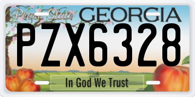 GA license plate PZX6328
