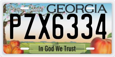 GA license plate PZX6334