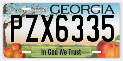 GA license plate PZX6335