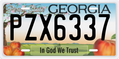GA license plate PZX6337