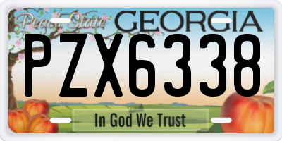 GA license plate PZX6338