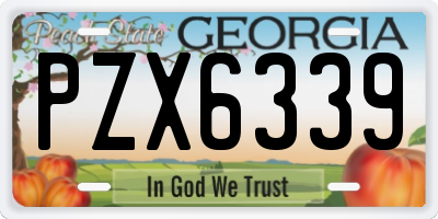 GA license plate PZX6339