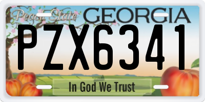 GA license plate PZX6341