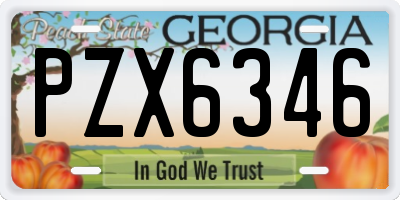 GA license plate PZX6346