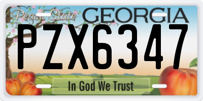 GA license plate PZX6347
