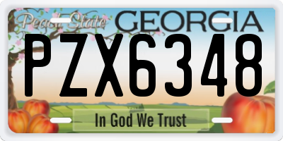 GA license plate PZX6348