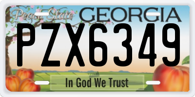 GA license plate PZX6349