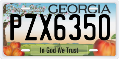 GA license plate PZX6350