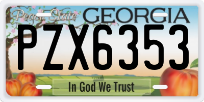GA license plate PZX6353