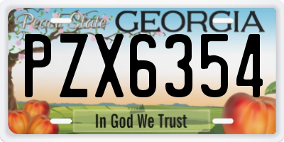 GA license plate PZX6354