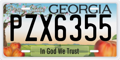 GA license plate PZX6355
