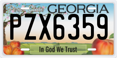 GA license plate PZX6359