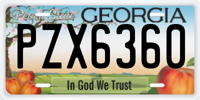 GA license plate PZX6360