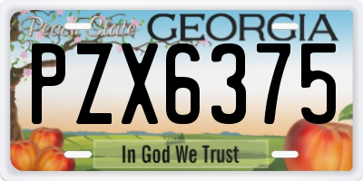 GA license plate PZX6375