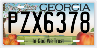 GA license plate PZX6378