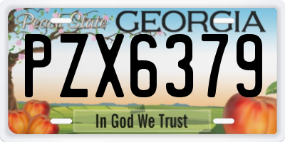 GA license plate PZX6379