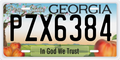 GA license plate PZX6384