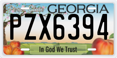 GA license plate PZX6394