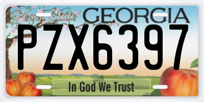 GA license plate PZX6397