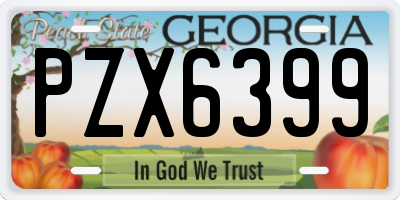 GA license plate PZX6399