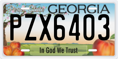 GA license plate PZX6403