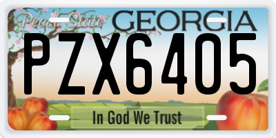 GA license plate PZX6405