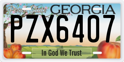 GA license plate PZX6407