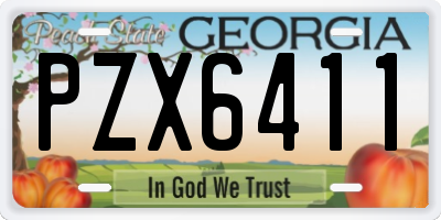 GA license plate PZX6411