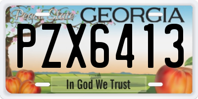 GA license plate PZX6413