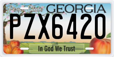 GA license plate PZX6420