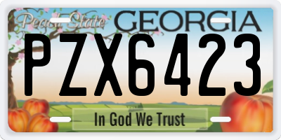 GA license plate PZX6423