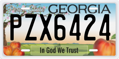 GA license plate PZX6424