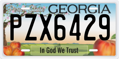 GA license plate PZX6429