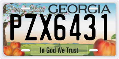 GA license plate PZX6431