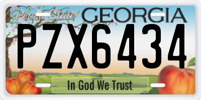 GA license plate PZX6434